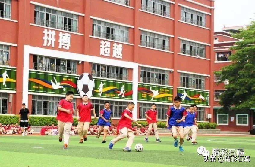东莞石碣四海学校2018年,东莞石碣学校排名
