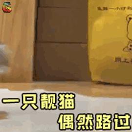 猫咪中暑大小便失禁怎么办,高温天气猫咪需要降温吗