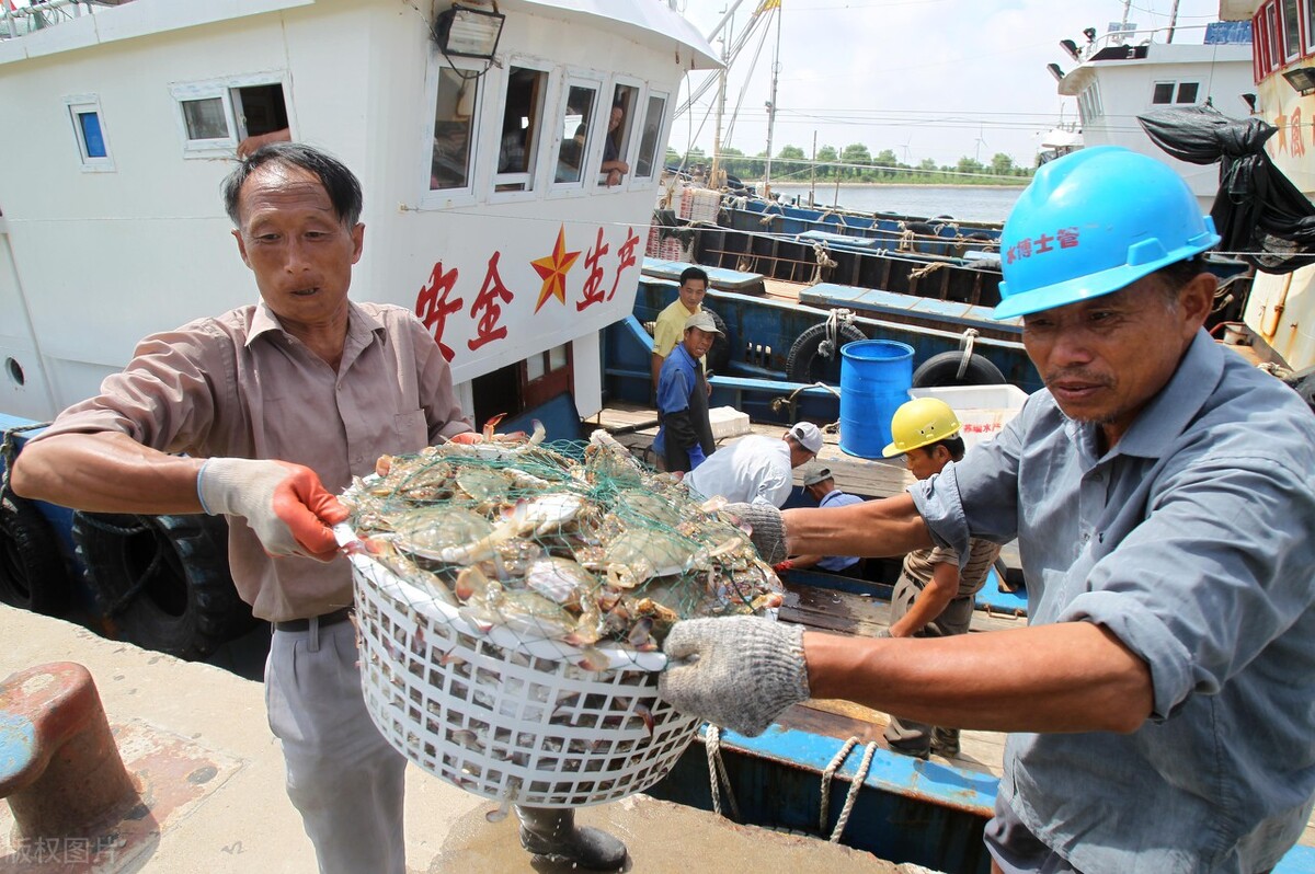 大闸蟹怎么滞销的,大闸蟹正值旺季卖不动