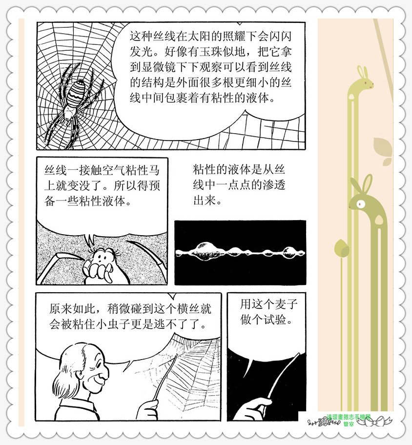 昆虫记法布尔动画片,昆虫记法布尔全套