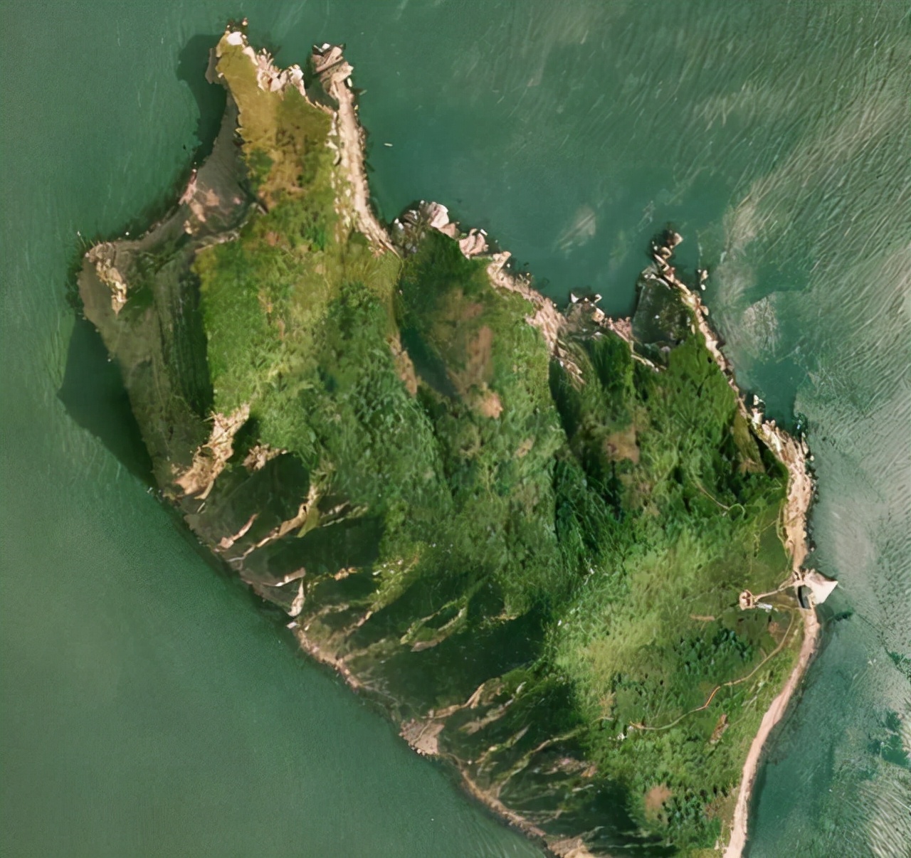 蜜獾大战眼镜蛇名副其实的蛇克星,大连岛上上万条毒蛇放两只蜜獾