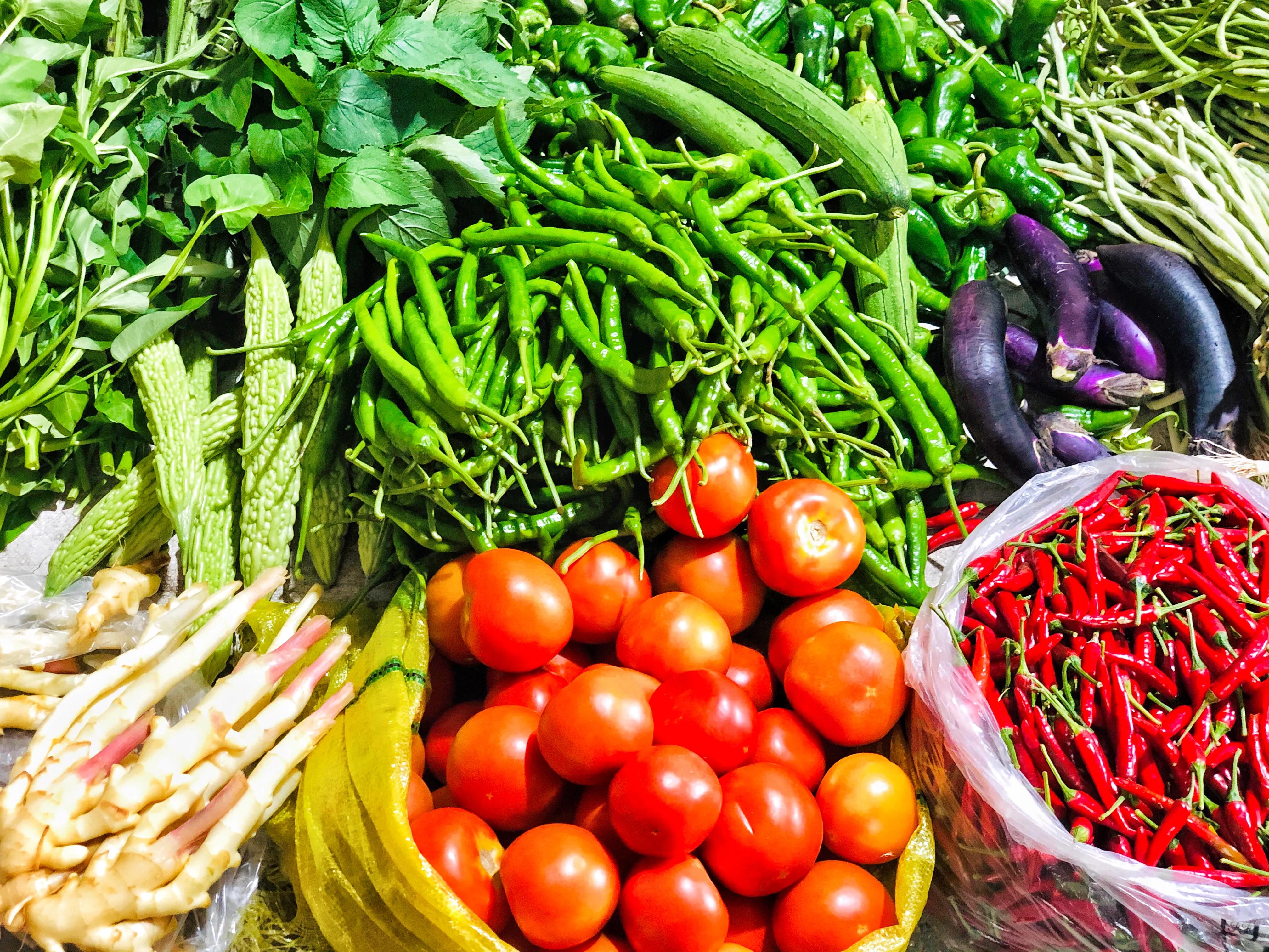 天屿湖适合避暑吗,天岛湖避暑旅游