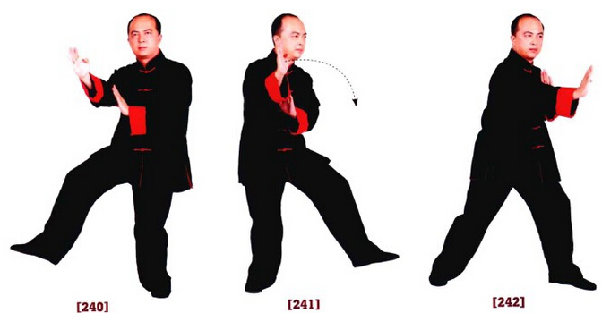 咏春拳入门十二散手,咏春拳标指教学视频