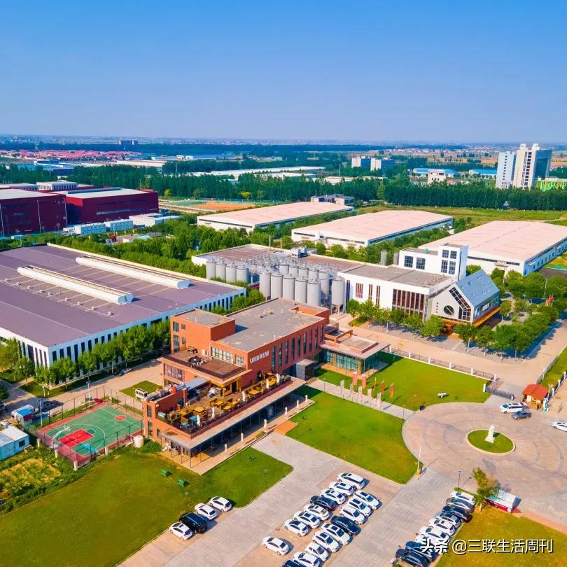 当我们谈论历史时我们在谈论什么,当我们谈论生活时我们在谈着什么