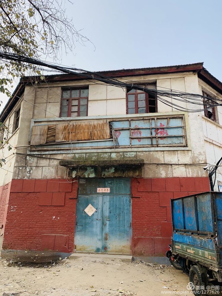 涧西牡丹广场老照片,洛阳牡丹手机拍照