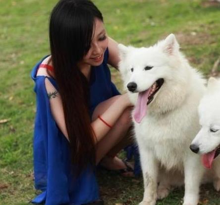 女生最爱养的六种狗，男生：以后女朋友生气，就靠它们哄了