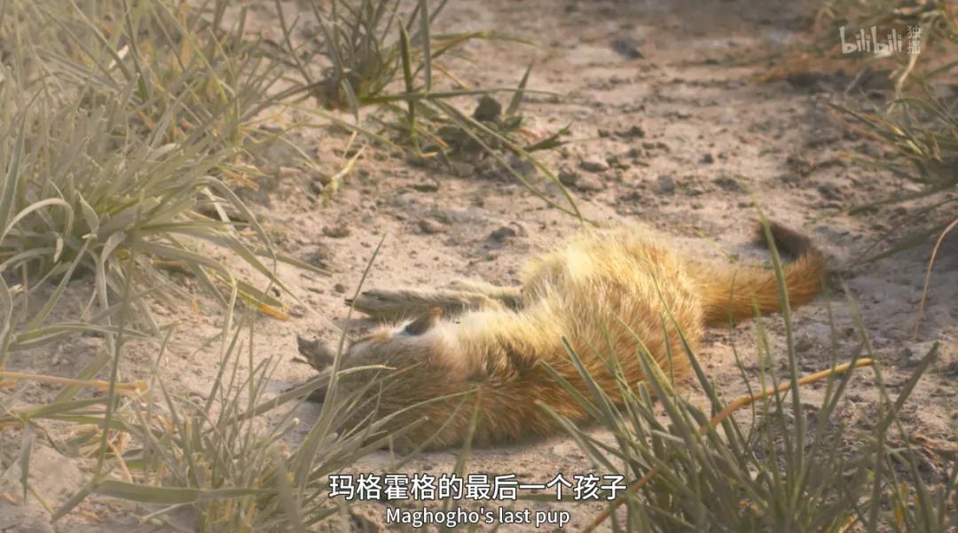 豆瓣评分9.5以上的国产电影有哪些,十部顶级神片推荐