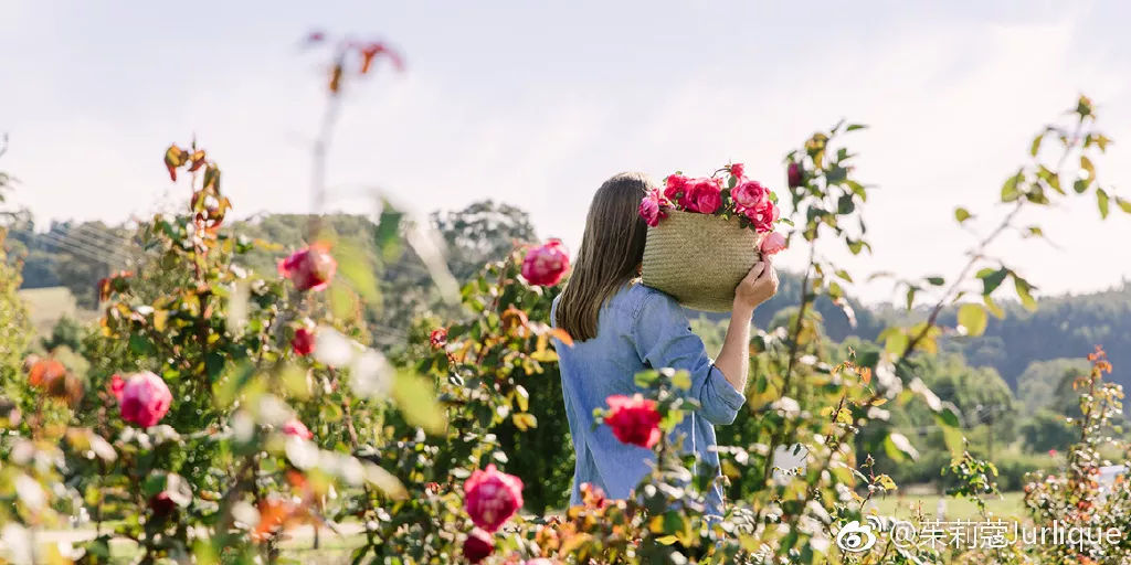 法国雅漾属于几线品牌,雅漾和理肤泉水乳哪个好