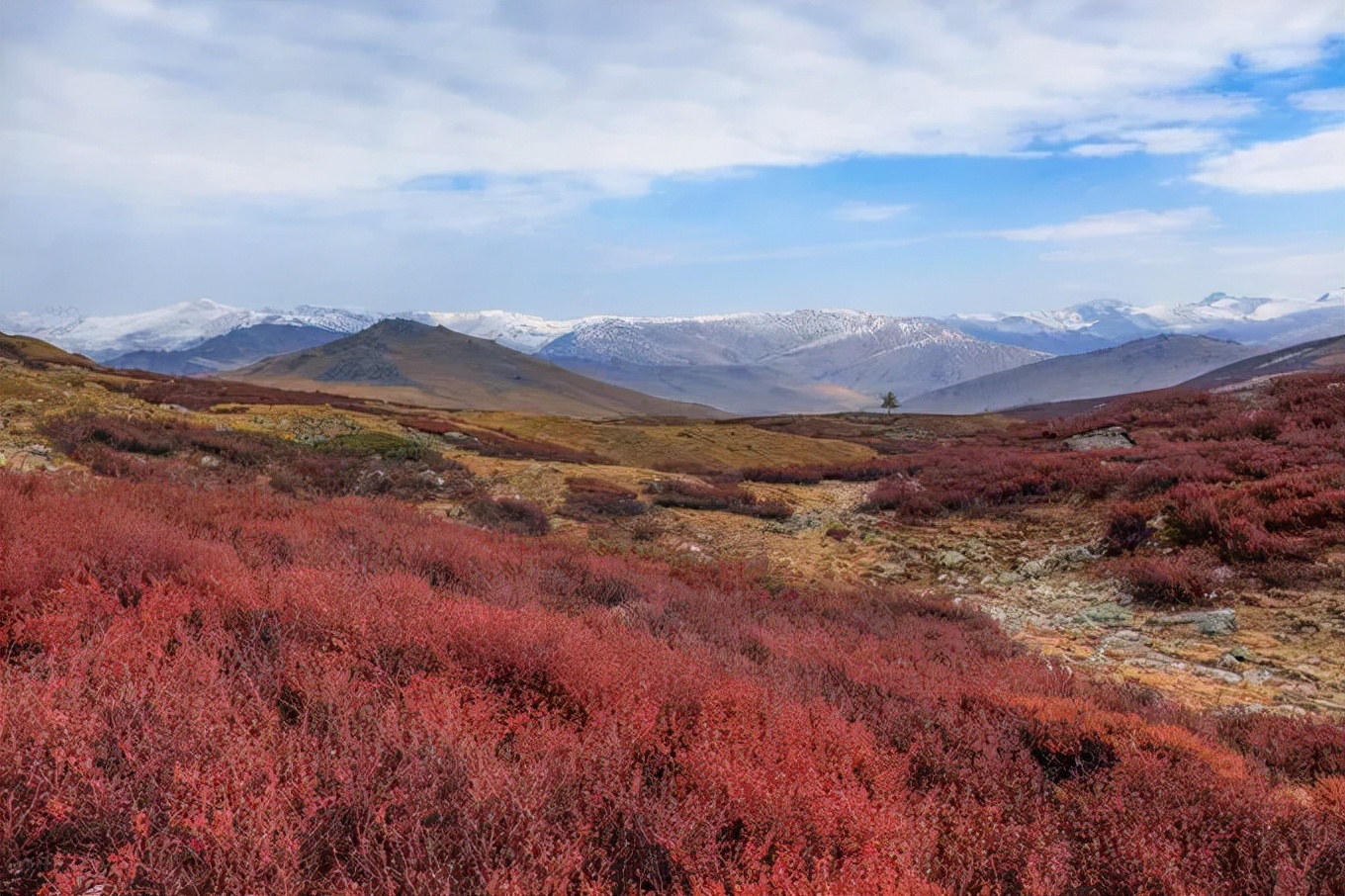 北疆四季,北疆的四季美景