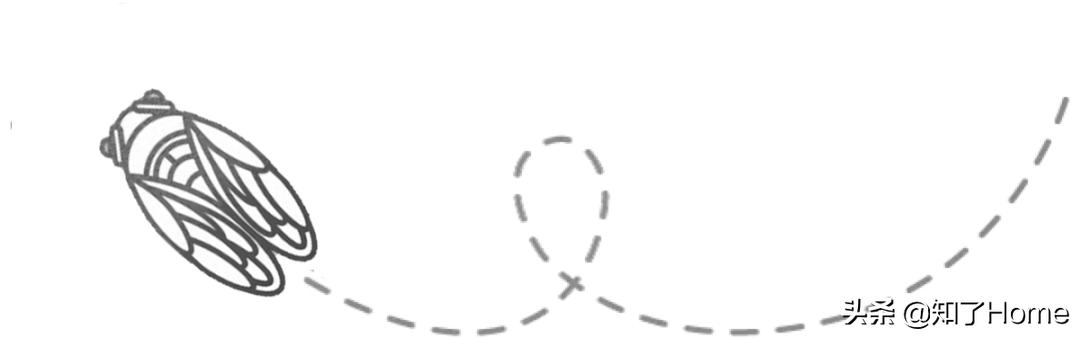 共创Z时代丨从极寒的北京跳进沸腾的东莞本期合伙：名家具展