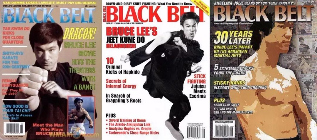 李连杰成龙真实打斗片段,经典武侠李连杰打斗片段