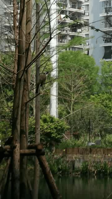 福州露营休闲放松好去处,福州温泉景区