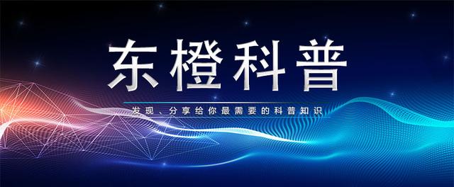 基金的优势及投资策略,基金收益是正的收益却是负的