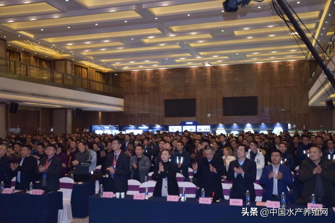 大数据+整体解决方案的新时代，看水世纪如何将智慧渔业水平衡全新指导概念，推动水产养殖业实现再一次飞跃