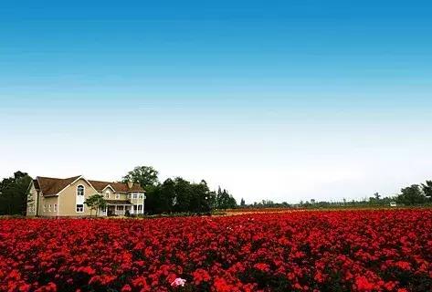 双流空港秘密花园,双流不要门票的公园