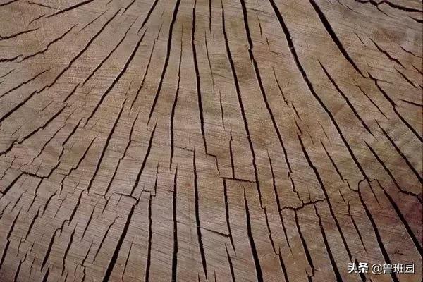 红木家具的开裂是怎么回事,红木家具开裂怎么解决