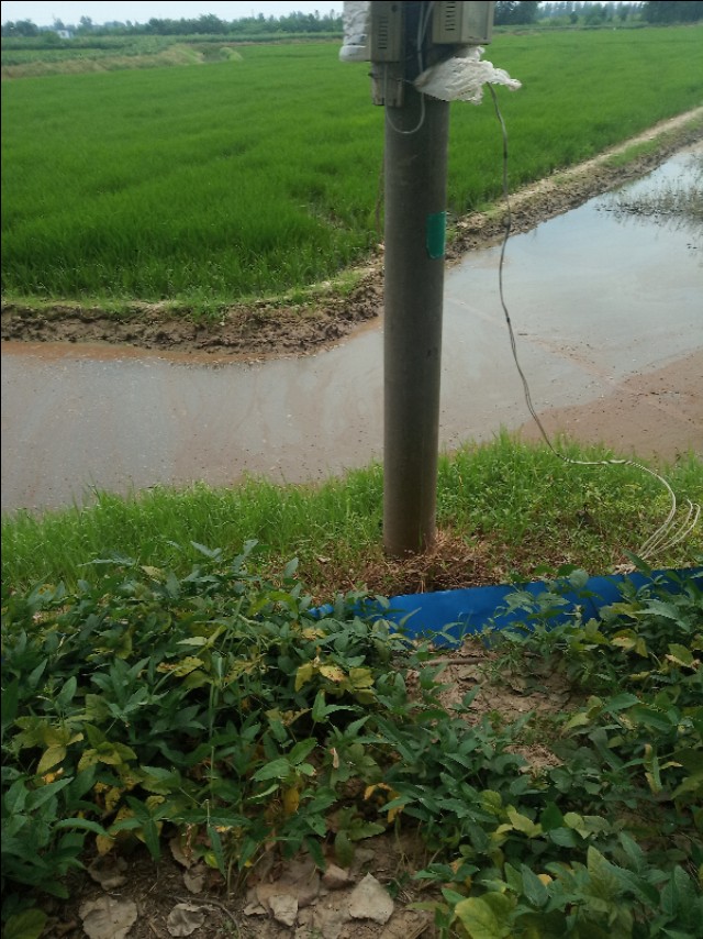 没养殖搞什么最赚钱呢,创业养小龙虾遇到的困难和问题