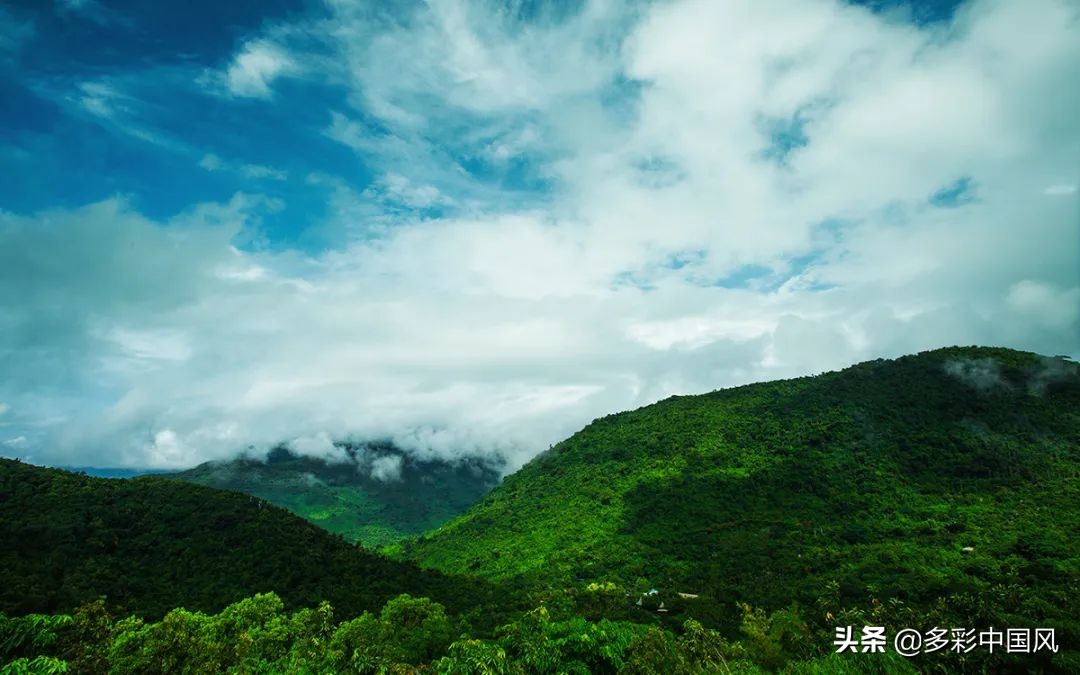 海南天然氧吧舒适景点,海南岛热带天然森林