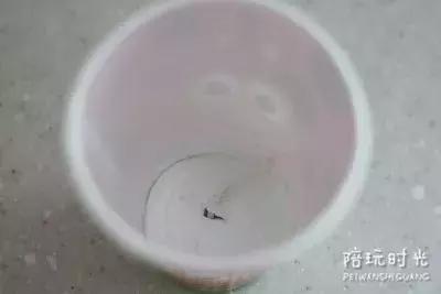 <html>
<head><title>502BadGateway</title></head>
<body>
<center><h1>502BadGateway</h1></center>
<hr><center>nginx</center>
</body>
</html>
<!--apaddingtodisableMSIEandChromefriendlyerrorpage-->
<!--apaddingtodisableMSIEandChromefriendlyerrorpage-->
<!--apaddingtodisableMSIEandChromefriendlyerrorpage-->
<!--apaddingtodisableMSIEandChromefriendlyerrorpage-->
<!--apaddingtodisableMSIEandChromefriendlyerrorpage-->
<!--apaddingtodisableMSIEandChromefriendlyerrorpage-->
