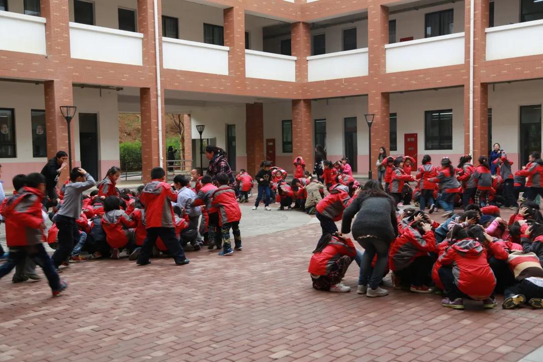 南京市金陵小学简介,南京市金陵小学多少个班
