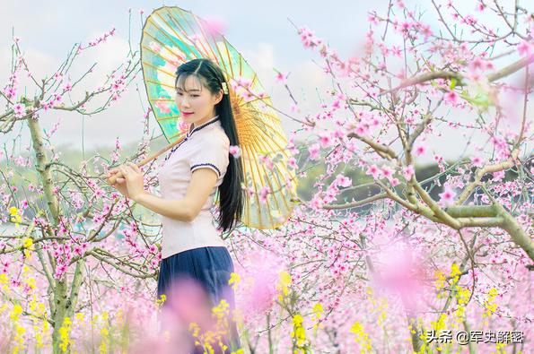 迎一片春来等一场花开经典美文,散文借一束暖阳待一树花开