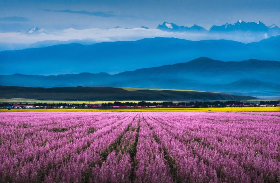 夏天的北疆美景,六月的北疆有多美
