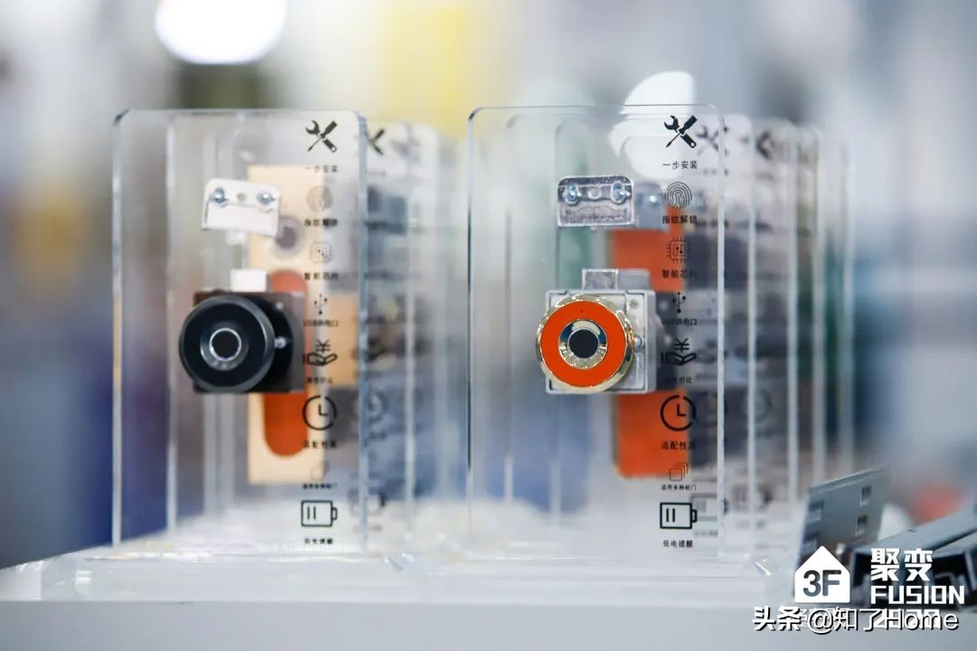 共创Z时代丨从极寒的北京跳进沸腾的东莞本期合伙：名家具展