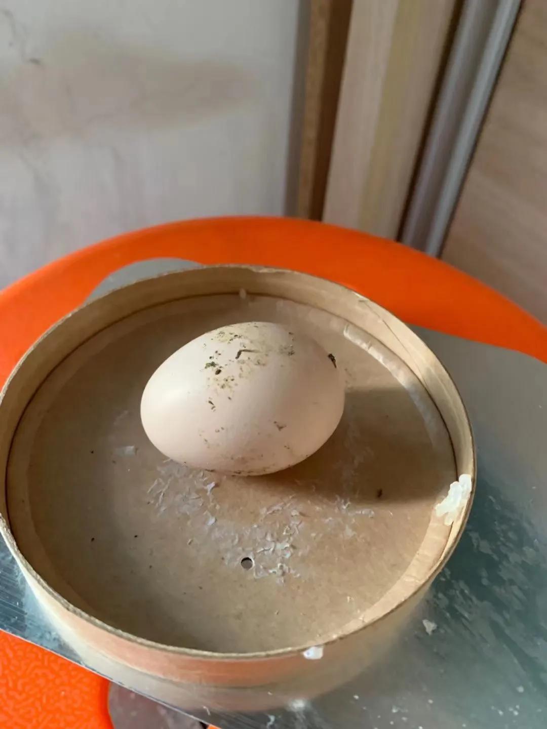 上海吃毛鸡蛋,吃毛蛋吃出活鸡