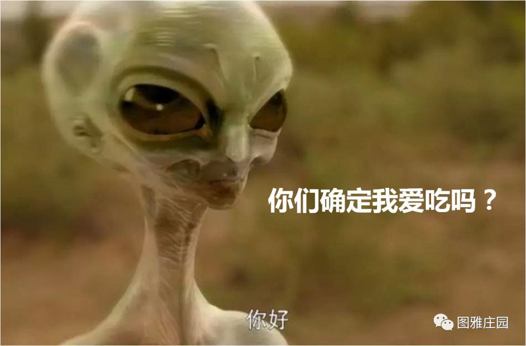 假如被困荒岛吃什么,假如你被困荒岛只能带三样东西