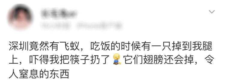 大水蚁进屋能活多久,大水蚁入侵房子