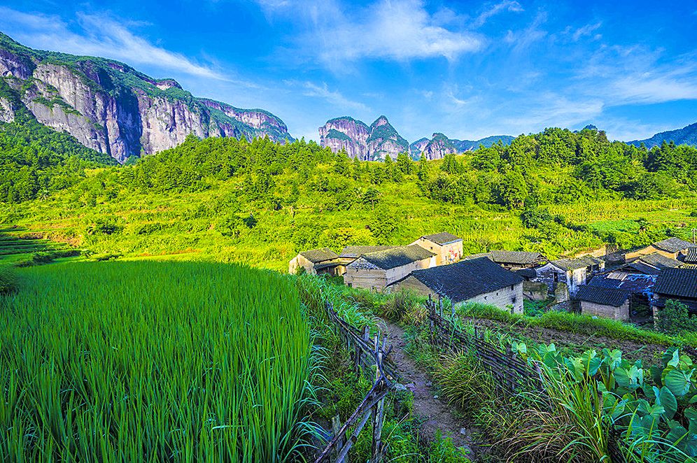 适合看星空露营的地方 (高山露营地绝美的星空)