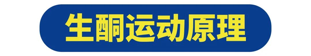 2分钟快速燃脂大法,生酮快速燃脂