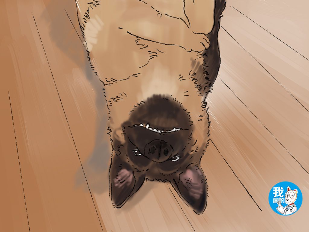 德牧看起来害怕,德牧很吓人吗为什么