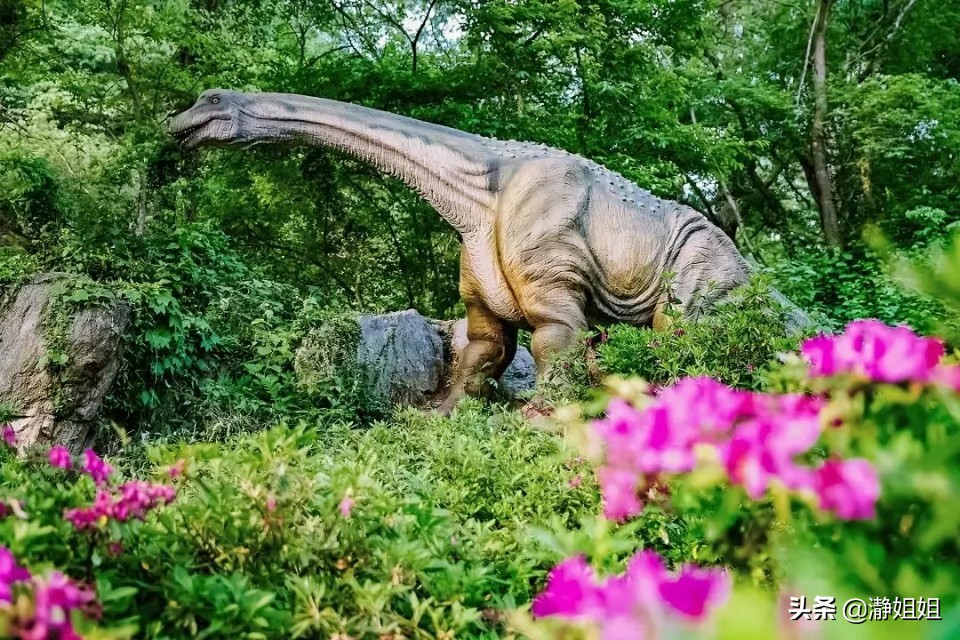 武汉这是一座值得到来的城市,武汉是一个独特的城市