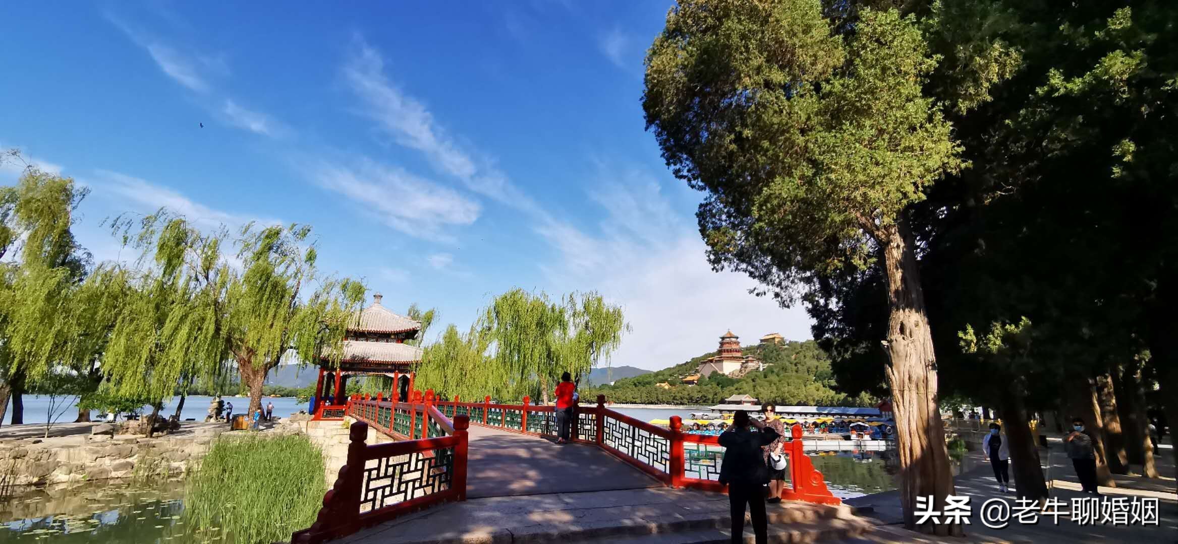 男朋友性格很老实怎么办,男朋友比较木讷不太主动