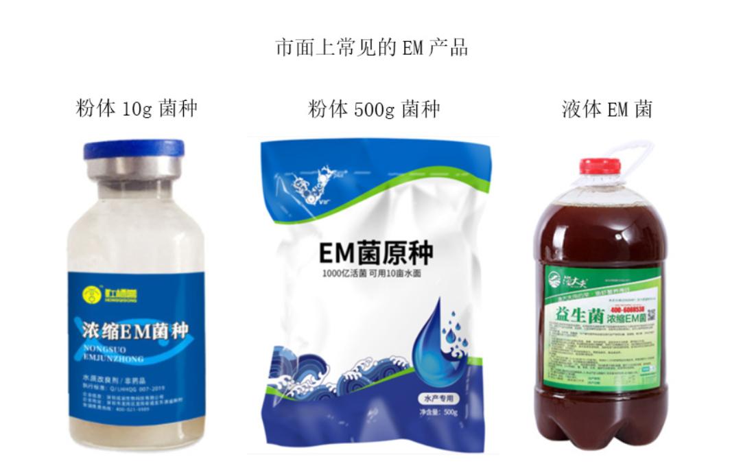 水产em菌阴天雨天可以使用吗,em菌在水产中的作用和注意事项