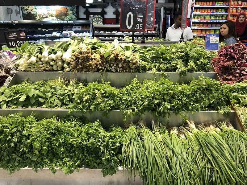 在迪拜怎么降低生活成本,迪拜一周生活成本多少钱