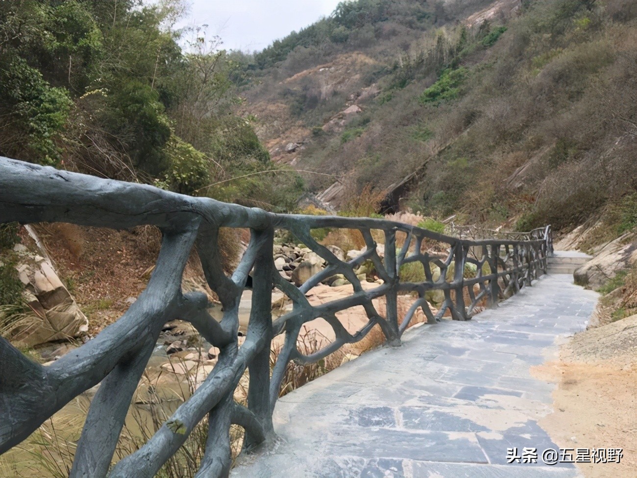 赣州三阳山，窑背有龙潭，里面还有“金鸭婆”，这个你知道吗？