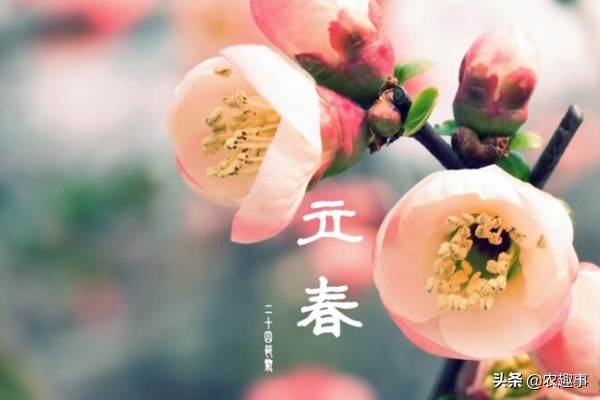 2019为什么称为寡妇年,2019年是寡妇年是真的吗