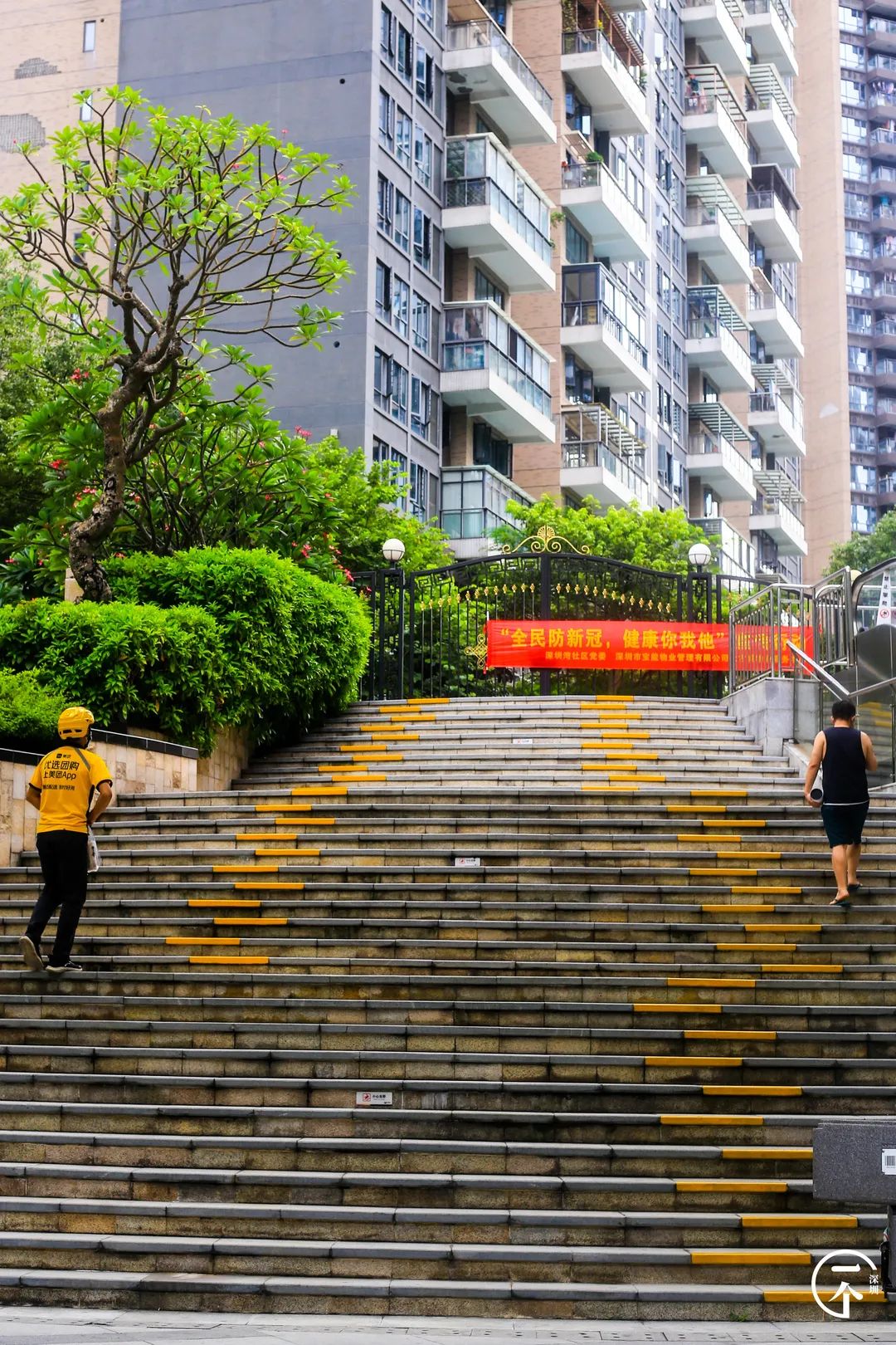 测评深圳湾,我直接被房租劝退