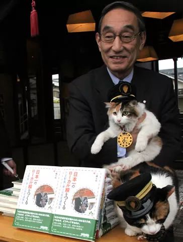 告别流浪猫展览再现12个吸猫圣地,最治愈的吸猫胜地