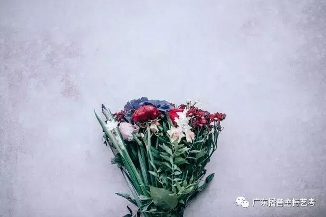 声母声母表朗读视频,声母表的声母怎么读