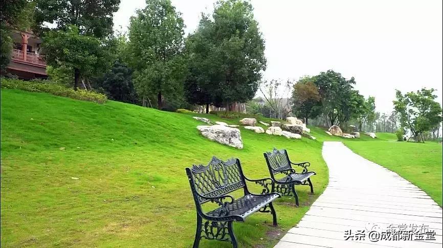 金堂人，你身边这条街已入选成都“最美街道”！