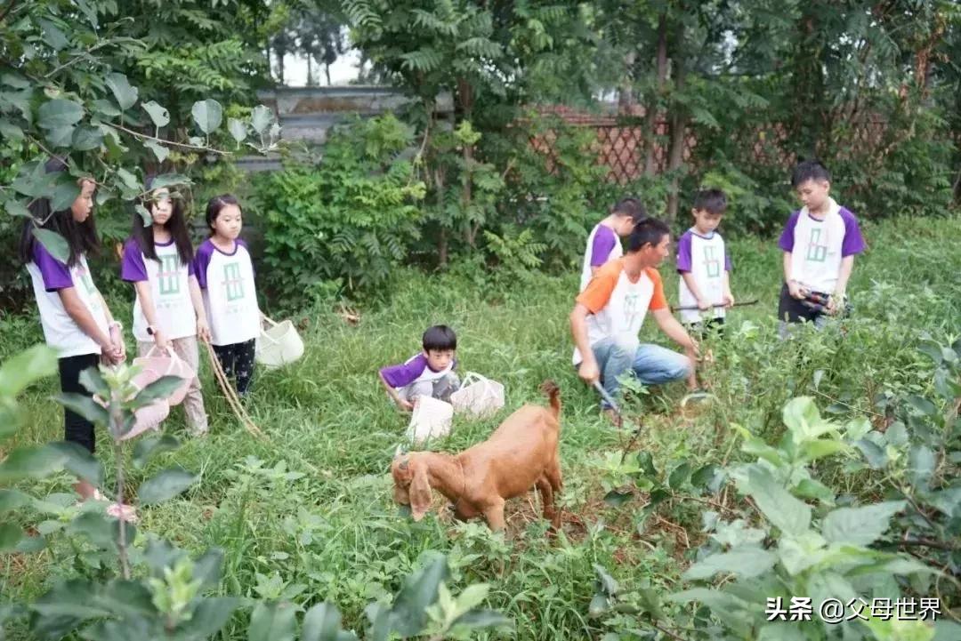 国内不太偏的亲子小众旅游 (全球最适合亲子游的十大旅游胜地)