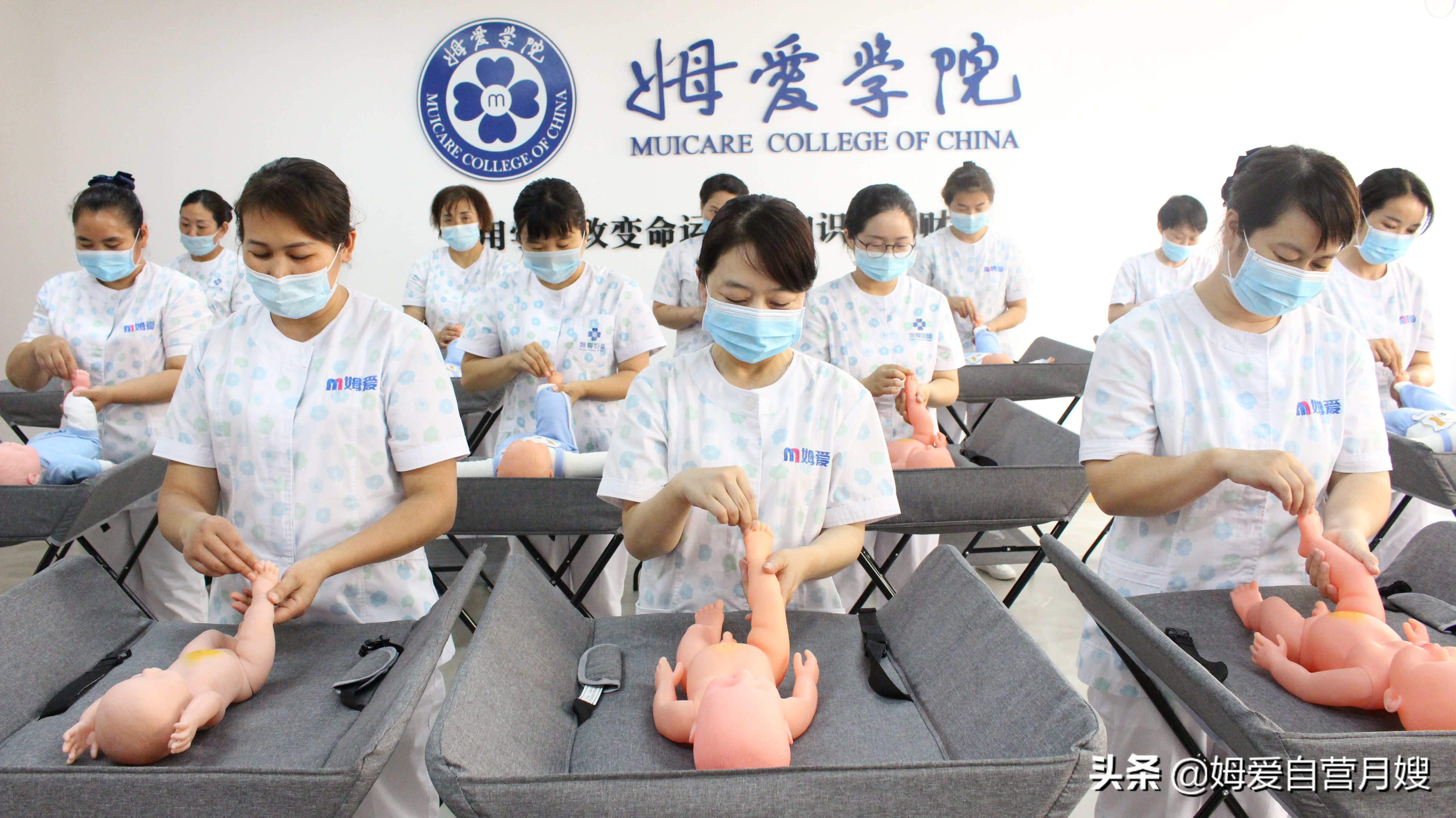 如何辨别月嫂的真假,月嫂京东自营是真的吗