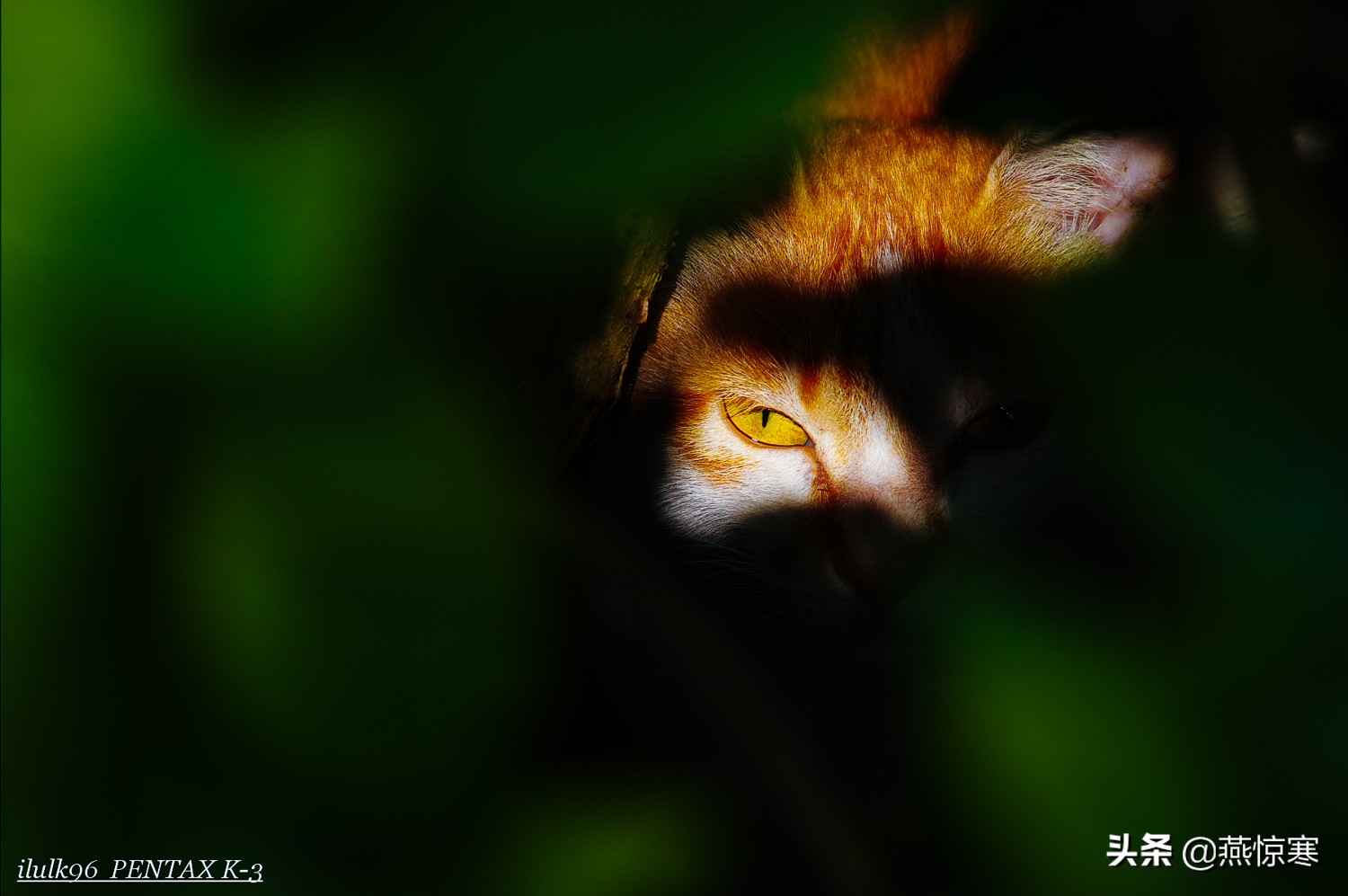 说说你用的相机,理光镜头和宾得通用吗