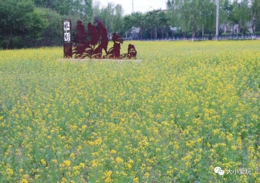 北京适合踏春旅游景点,北京春天看花的景点推荐