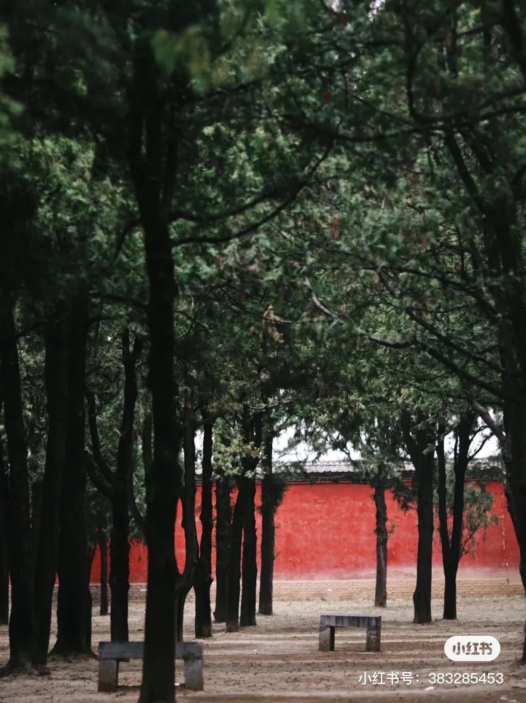盐湖区中国死海,中国死海停业了吗