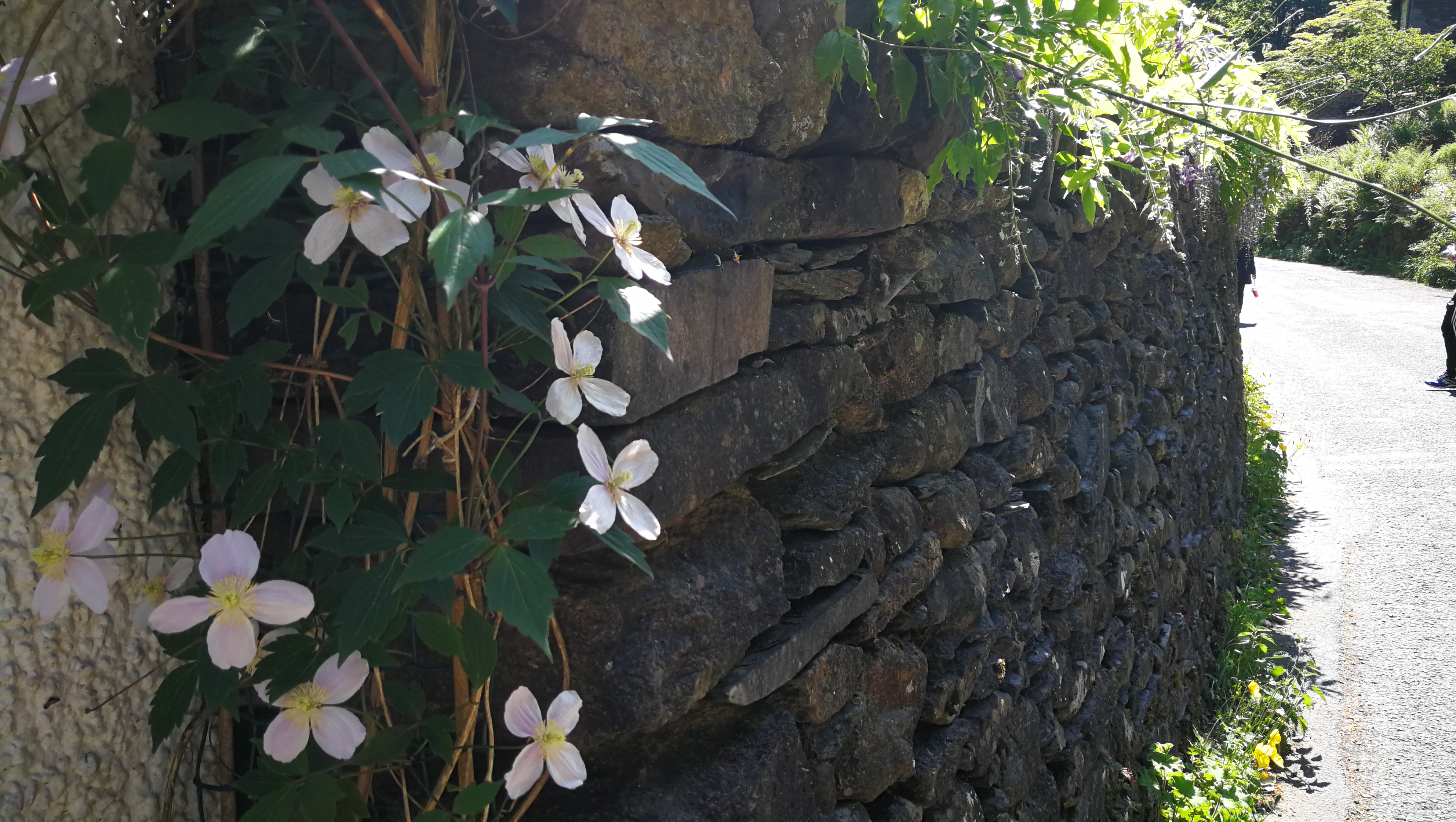 「英伦随笔」世界上最宁静的小镇