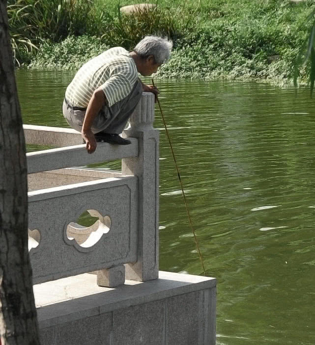 钓鱼的最高境界完整视频 (钓鱼人通病你中了几条)